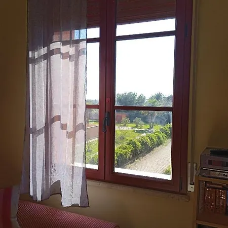Appartement Accesso Diretto Sul Mare Maredilucecala à Calambrone Extérieur photo