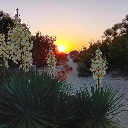 Appartement Accesso Diretto Sul Mare Maredilucecala à Calambrone Extérieur photo