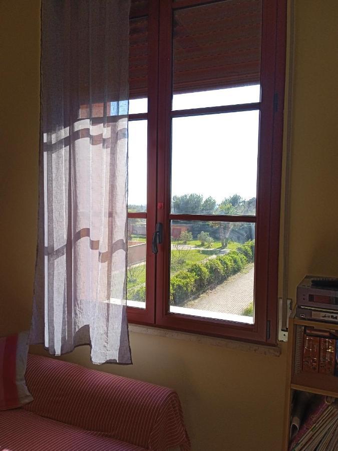 Accesso Diretto Sul Mare Maredilucecala Apartment Calambrone
