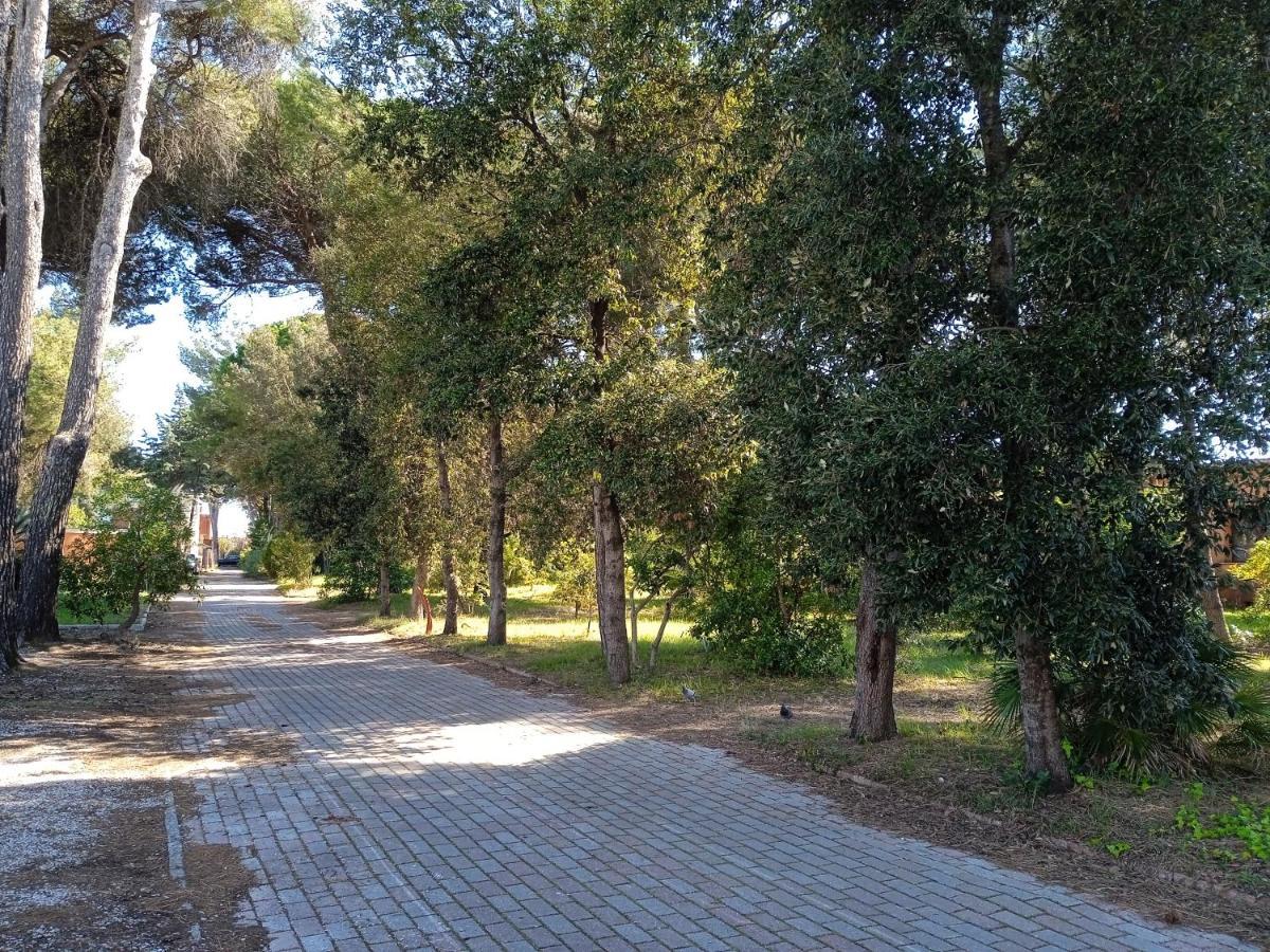Accesso Diretto Sul Mare Maredilucecala
