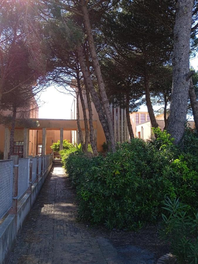 Accesso Diretto Sul Mare Maredilucecala Appartement *