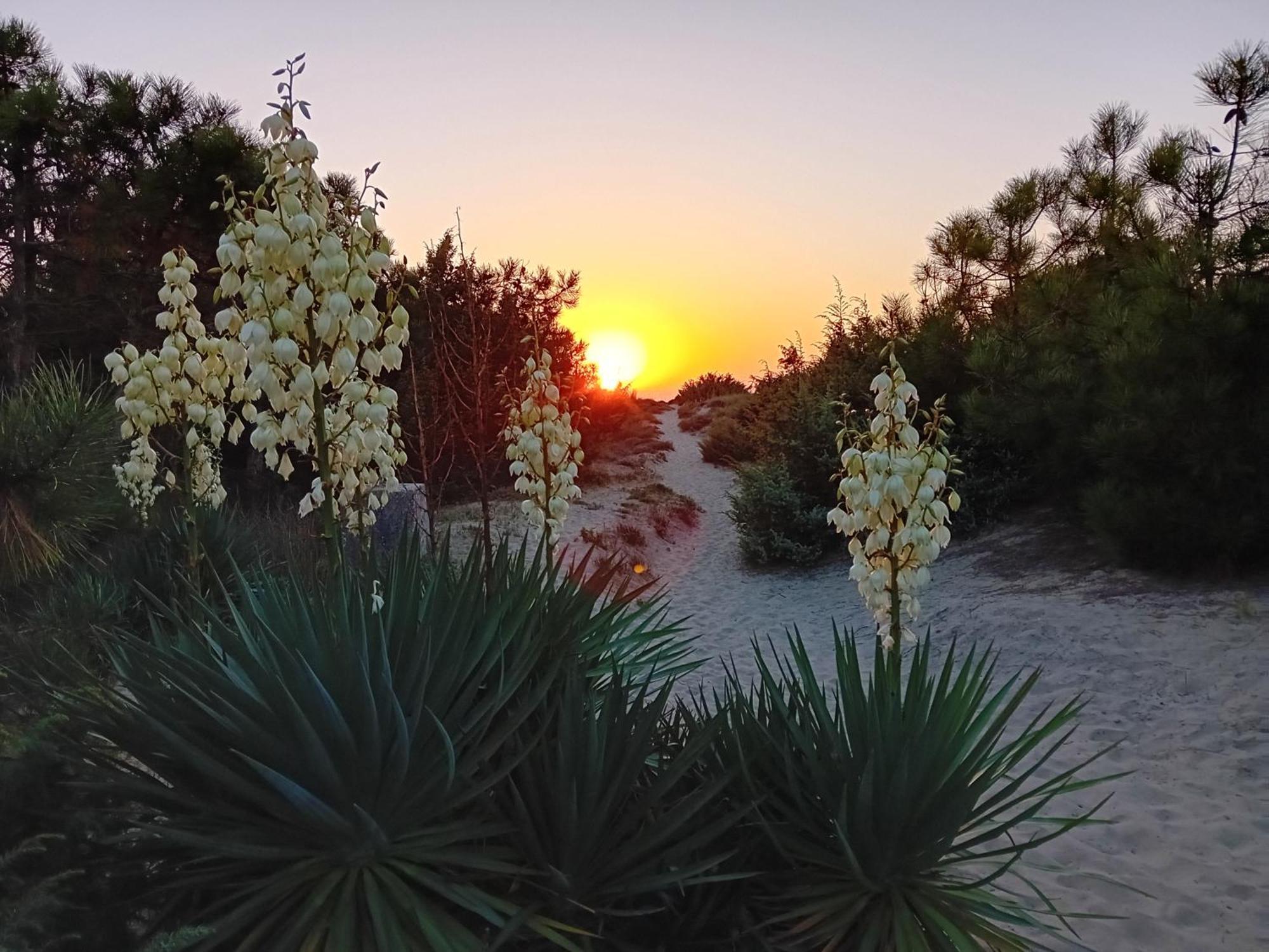 Accesso Diretto Sul Mare Maredilucecala Appartement